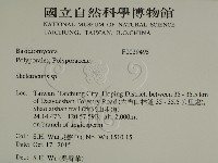 骨皮菌屬藏品圖，第2張