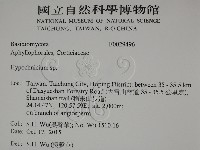 登錄號:F0029496藏品圖，第2張