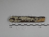 登錄號:F0029496藏品圖，第1張