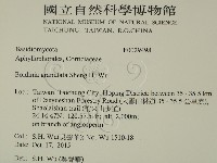 登錄號:F0029498藏品圖，第2張