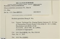 登錄號:F0029498藏品圖，第4張