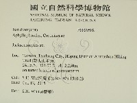 傑克菌屬藏品圖，第2張