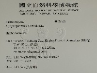 絲皮菌屬藏品圖，第2張