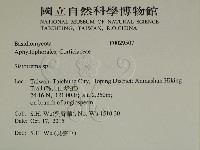 登錄號:F0029507藏品圖，第2張
