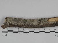 登錄號:F0029507藏品圖，第1張