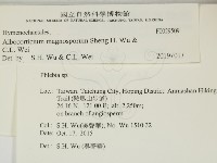 登錄號:F0029509藏品圖，第2張