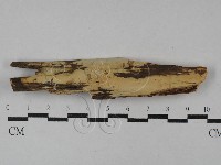 登錄號:F0029510藏品圖，第1張
