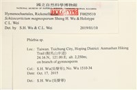 登錄號:F0029510藏品圖，第3張