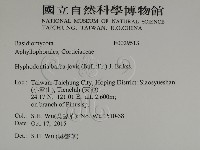 登錄號:F0029513藏品圖，第2張