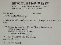 登錄號:F0029515藏品圖，第2張