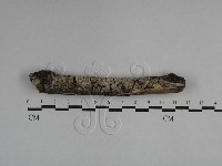 登錄號:F0029515藏品圖，第1張