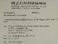 登錄號:F0029516藏品圖，第2張
