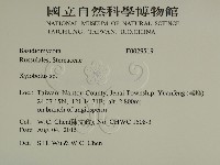 登錄號:F0029519藏品圖，第2張