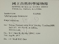 串擔革菌屬藏品圖，第2張