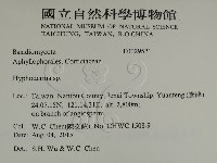 絲皮菌屬藏品圖，第2張