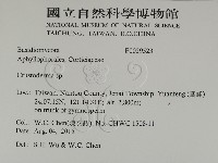 登錄號:F0029523藏品圖，第2張