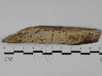 登錄號:F0029523藏品圖，第1張