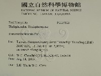 登錄號:F0029525藏品圖，第2張