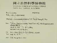 登錄號:F0029528藏品圖，第2張