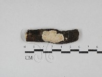登錄號:F0029528藏品圖，第1張