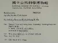 登錄號:F0029529藏品圖，第2張