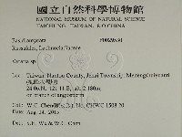 登錄號:F0029530藏品圖，第2張