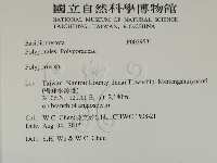 多孔菌屬藏品圖，第2張