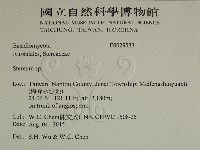 韌革菌屬藏品圖，第2張