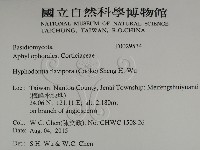 登錄號:F0029534藏品圖，第2張