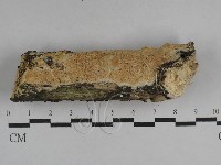 登錄號:F0029534藏品圖，第1張
