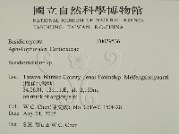 登錄號:F0029536藏品圖，第2張