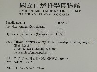 登錄號:F0029539藏品圖，第2張