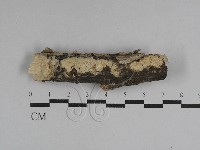 登錄號:F0029539藏品圖，第1張