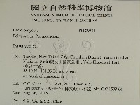 乾酪菌屬藏品圖，第2張