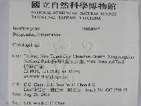 登錄號:F0029542藏品圖，第2張