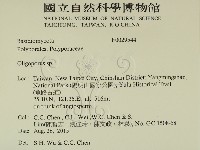 寡孔菌屬藏品圖，第2張