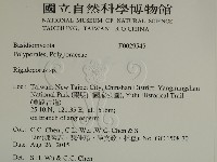 硬孔菌屬藏品圖，第2張