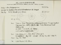 登錄號:F0029546藏品圖，第2張