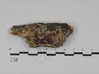 登錄號:F0029546藏品圖，第1張