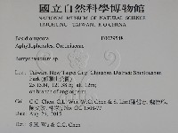 登錄號:F0029548藏品圖，第2張