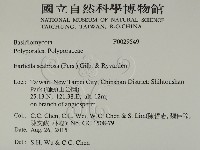 登錄號:F0029549藏品圖，第2張