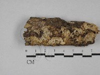 登錄號:F0029549藏品圖，第1張