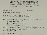 登錄號:F0029551藏品圖，第2張