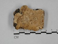 登錄號:F0029551藏品圖，第1張