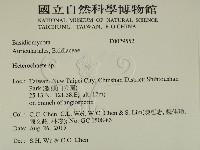 刺皮菌屬藏品圖，第2張