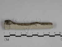 登錄號:F0029553藏品圖，第1張