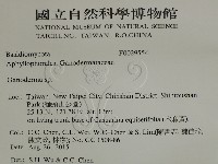 靈芝屬藏品圖，第2張