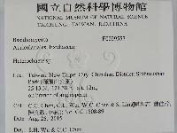 刺皮菌屬藏品圖，第2張