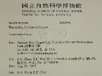登錄號:F0029559藏品圖，第2張