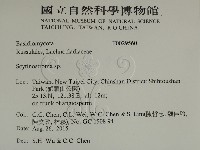 登錄號:F0029560藏品圖，第2張